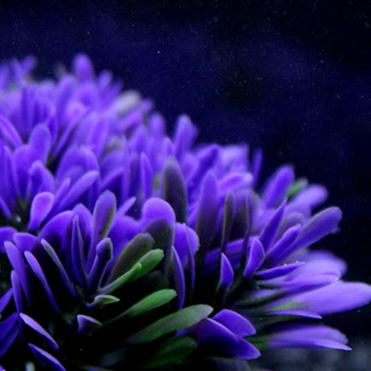 Vibrant Purple Round Grass Aquarium Decor